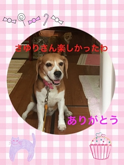 写真:リリちゃん