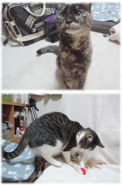 ララちゃん＆つきちゃん