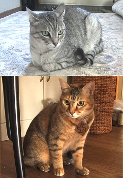 くーちゃん＆まるちゃん